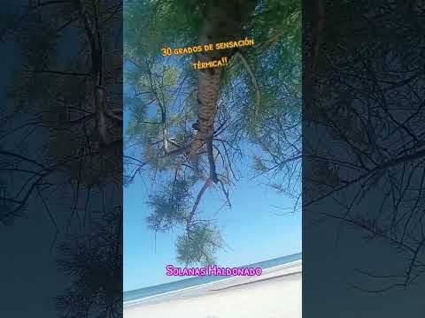 Solanas Maldonado Uruguay