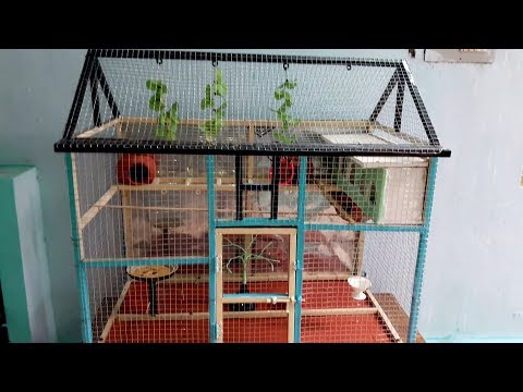 Love Birds Cage - House Video