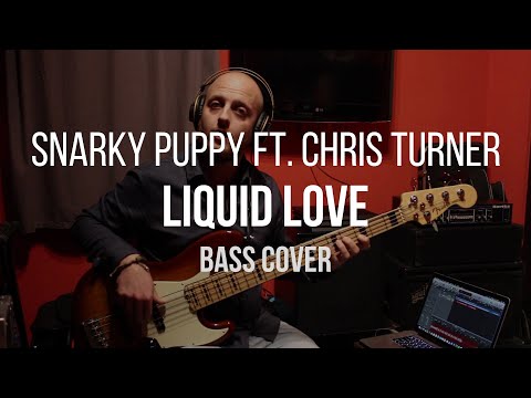 Liquid Love - Snarky Puppy ft. Chris Turner (Bass Cover)
