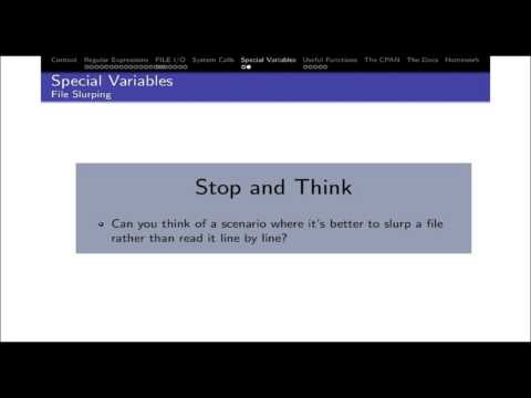 VLSI Academy:  A PERL Crash Course (Session 2 - Part 3)