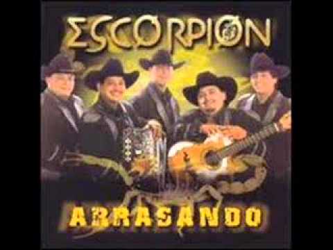 Escorpion  -   Como  Se  Mueve  El   Alacran.