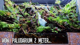 Pos Ronda Paling Sultan : Ada Paludarium-nya...