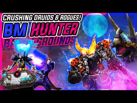 CRUSHING Druids & Rogues | 10.1.5 Beast Mastery Hunter | Dragonflight PvP