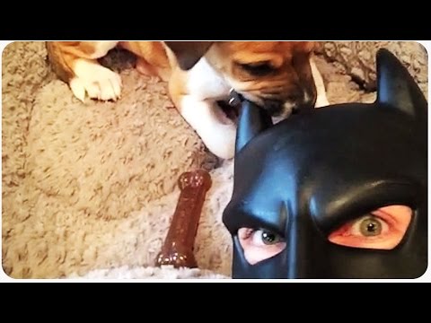 BatDad Vine Compilation 9