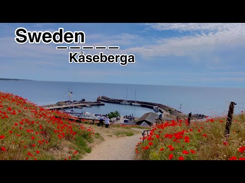 Most beautiful destination in Sweden 🇸🇪 -Kåseberga-June 2023