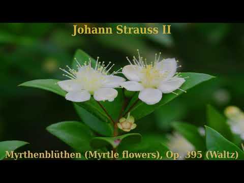 Johann Strauss II - Myrthenblüthen (Myrtle Flowers), Op  395, Waltz