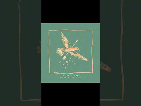 The Bird Song - Noah Floersch (1 hour!)