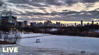 Toronto LIVE: Tuesday Morning in Riverdale &amp; Leslieville (Dec 21, 2021)