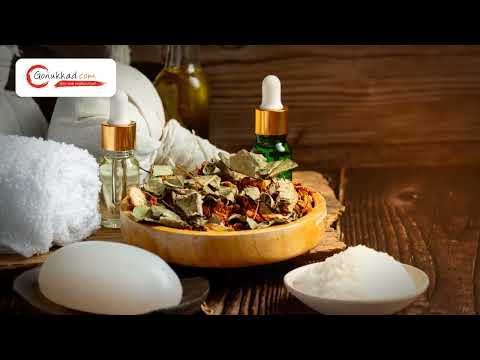 Venus Spa | Best Spa Centre in Rohini | Top Massage Centre in Rohini | Gonukkad