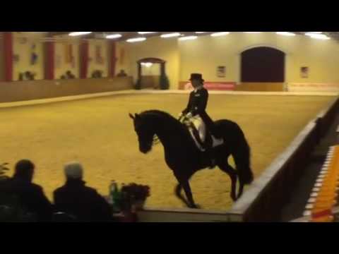 Don Nobless GP Ankum