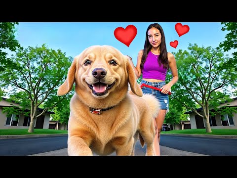 MARTINA VOLI ŠEKIJA