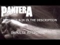 Pantera - Vulgar Display of Power - Guitar ...