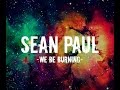 Sean paul - We be burning (Legalize it) (Lyrics)