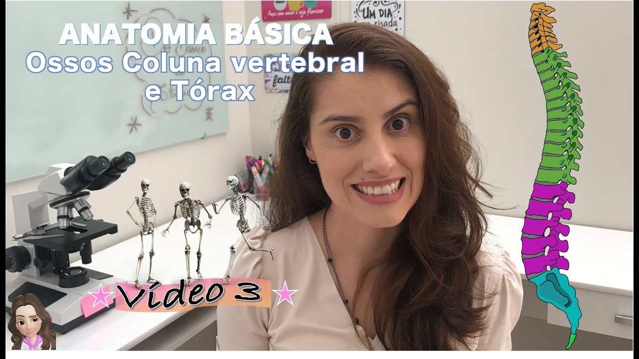 ANATOMIA BÁSICA Ossos da Coluna vertebral e Torax Vídeo 3