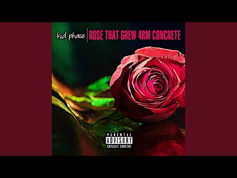 Rose That Grew 4rm Concrete