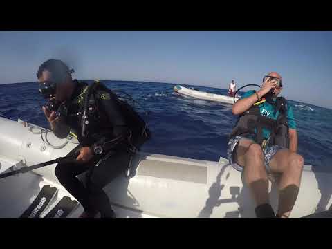 Red Sea   Simply the Best, Liveaboard My Blue Seas