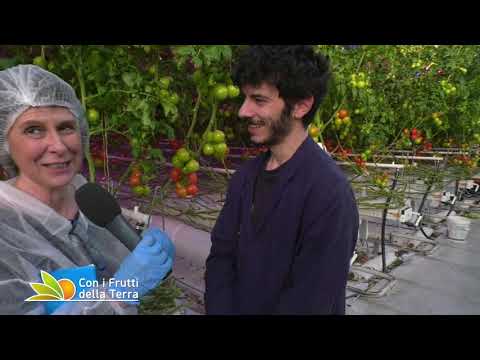 Puntata del 10/3/19 – 1° tranche - Serre Hitech ad Ostellato