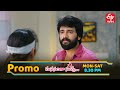 Manasantha Nuvve Latest Promo Episode No 1155 29th September 2025 ETV Telugu
