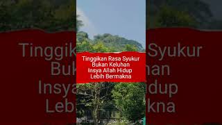 Download lagu Sudah Kita Bersyukur Hari Ini? mp3