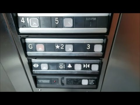 Loud Buzz! ThyssenKrupp Impulse Hydraulic Elevators - USF Collins Blvd. Parking Garage - Tampa, FL