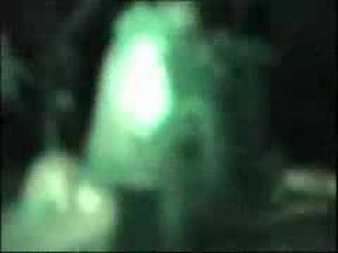 life4land sqrecords acid forest