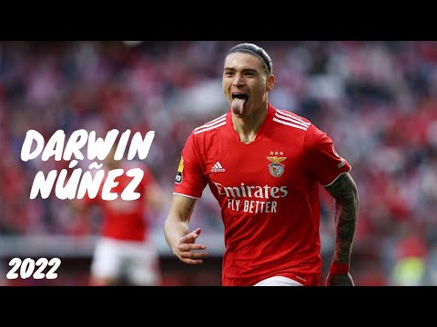 Darwin Núñez 2022/2023 ● Best Skills and Goals ● [HD]
