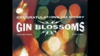 Gin Blossoms- Competition Smile (live)