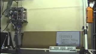 Symmetric Walking Control on SkipperII, walking on treadmill (2004)