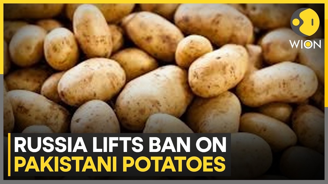 Russia Lifts Ban on Pakistani Potatoes | WION News