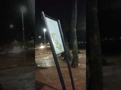 Horto Florestal em Lagoa Santa MG. #tour