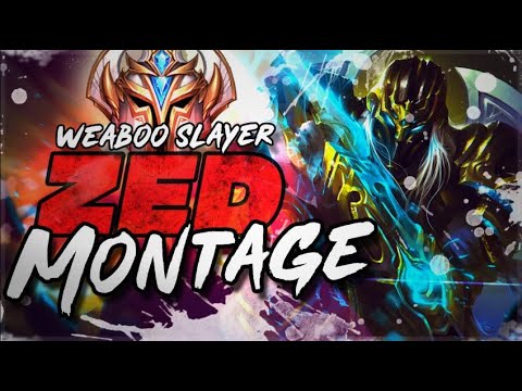 CHALLENGER ZED MONTAGE - 420WEABOOSLAYER