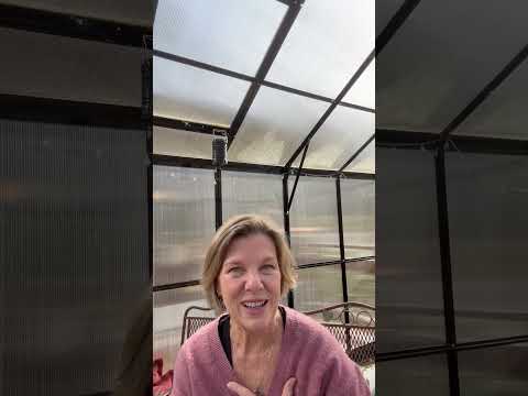 Play Video Youtube Video