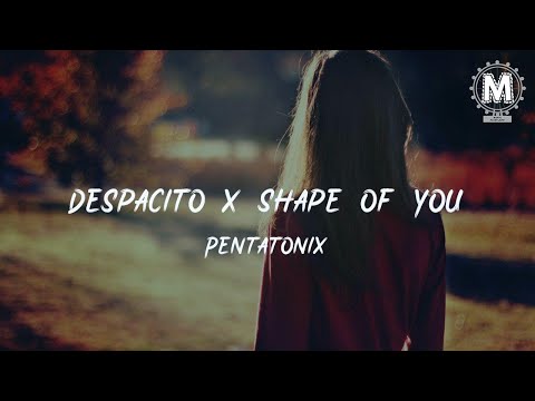 Despacito x Shape Of You