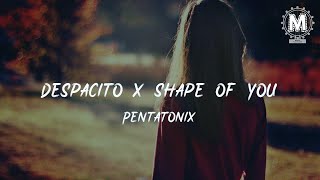 Download lagu Pentatonix Despacito x Shape Of You... mp3
