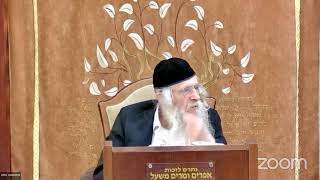 הגה"ח הרב מענדל וועכטר שלי"א - י"ט סיון שפ" (הרב אברהם מנחם מענדל וכטר) - התמונה מוצגת ישירות מתוך אתר האינטרנט יוטיוב. זכויות היוצרים בתמונה שייכות ליוצרה. קישור קרדיט למקור התוכן נמצא בתוך דף הסרטון