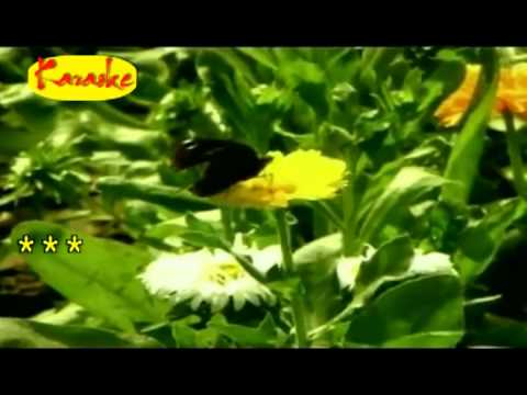 Xuân vàng qua phố vắng - Diệu Hiền