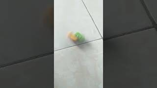 Download lagu 22 Oktober 2025 mp3 Download lagu 22 Oktober 2025 mp3