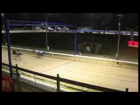 Aayamza Express - Coral Champion Stakes Final