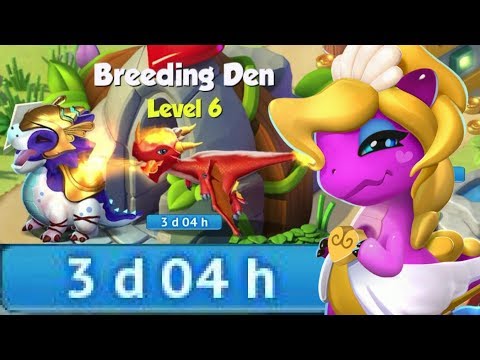We Bred the APHRODITE DRAGON?! Such a Long Breeding Time! - DML #617