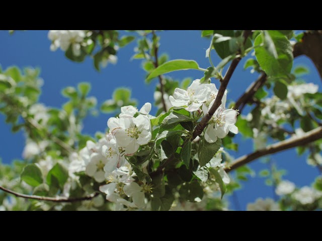 Visit Voronezh | Туристические маршруты Воронежской области