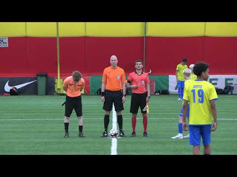 VJS/2 - Gnistan P09/Keltainen 2