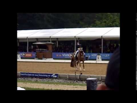 Pferd International 2015