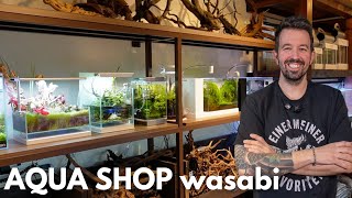 Kleiner aber beeindruckender Aquarium Shop in Japan! AQUA SHOP wasabi