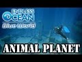 Endless Ocean: Blue World wii Animal Planet