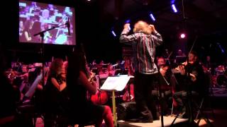 DAY833 - Giorgio Magnanensi with The Plastic Acid Orchestra - In ludere - il suono viola