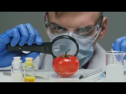 Absurd Today, Innovation Tomorrow: Unseen Ideas