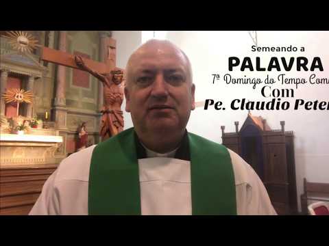 7º Domingo do Tempo Comum - Ano C