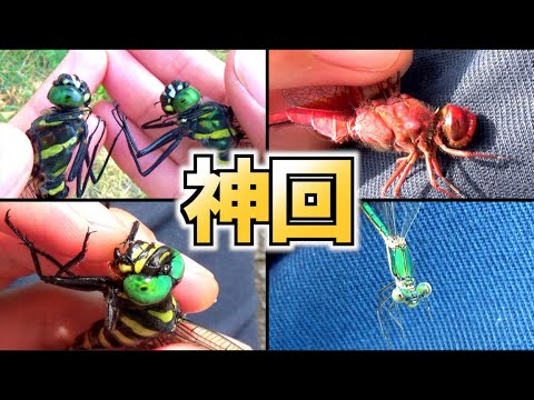 セスナ A-37 トンボについて詳しく解説