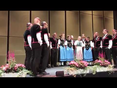 Jodlerklub Finsterwald - Uf em Heiwäg