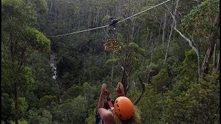 preview picture of video 'Hollybank Treetops Adventure'